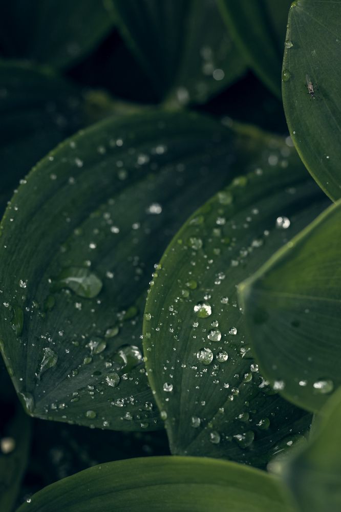 Photograph by Ольга Голованова