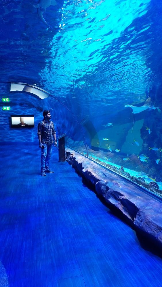 Blue cave