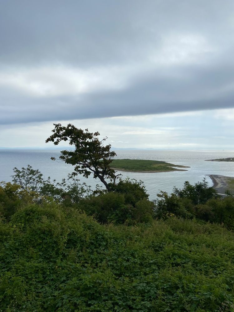 Photograph by Татьяна