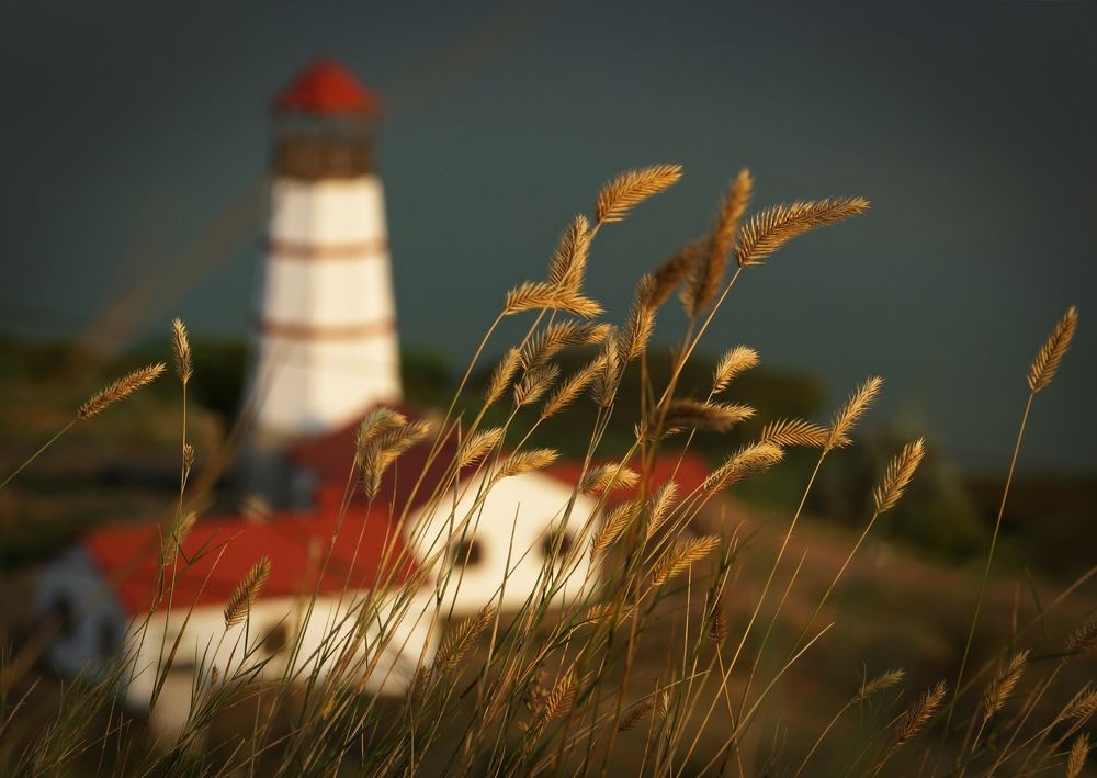 "Над пропастью во ржи... "