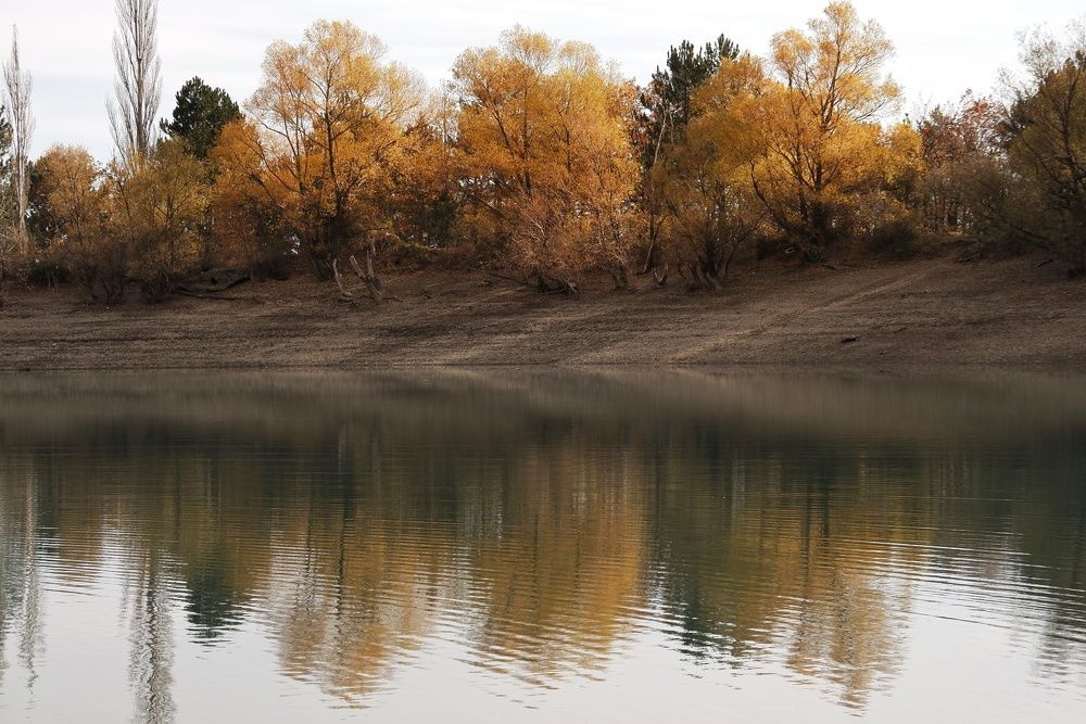 Photograph by Пузан Александр