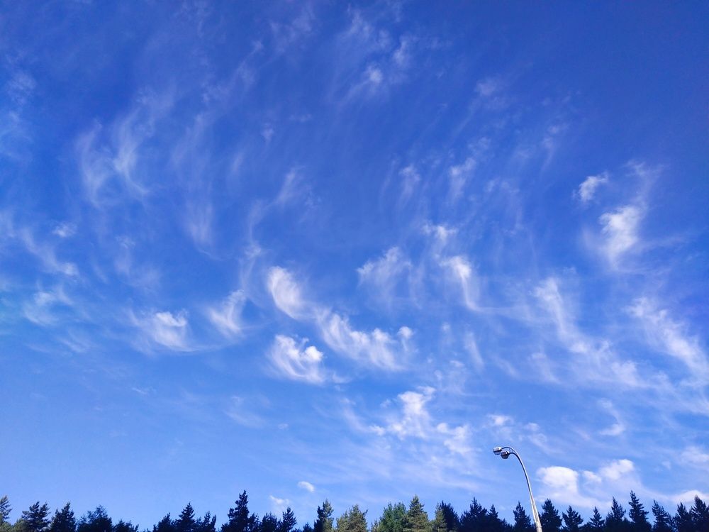 Photograph by Natalya Guseva