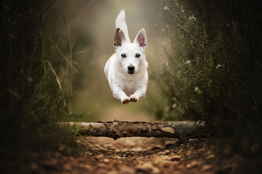 Фотография автора Rut Casanellas