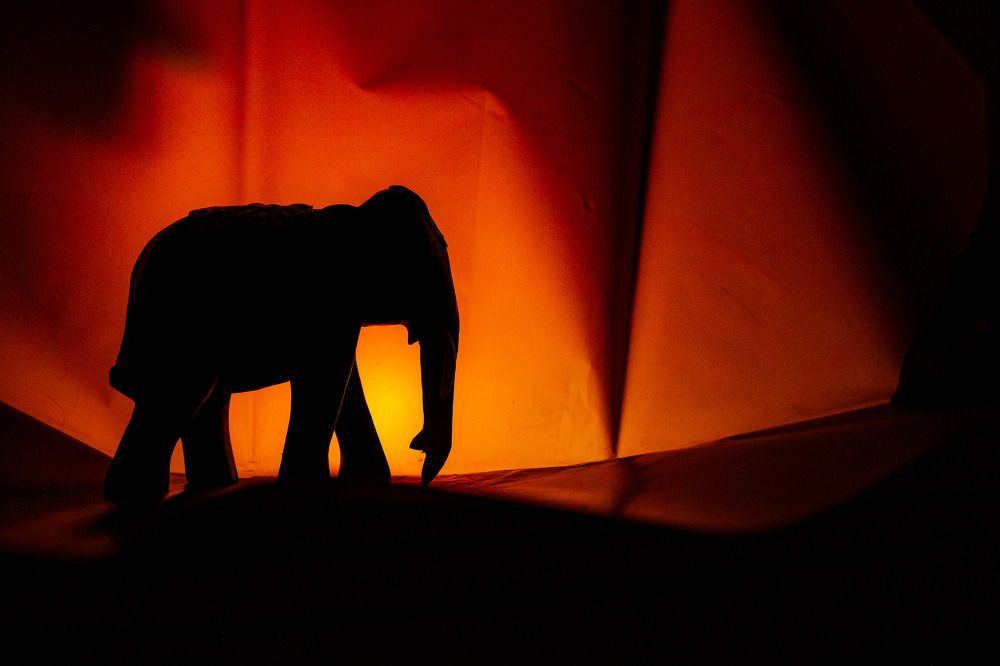 Photograph by Анастасия Чадина