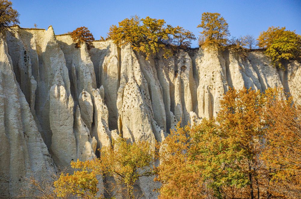 Photograph by Инна Гаджиева