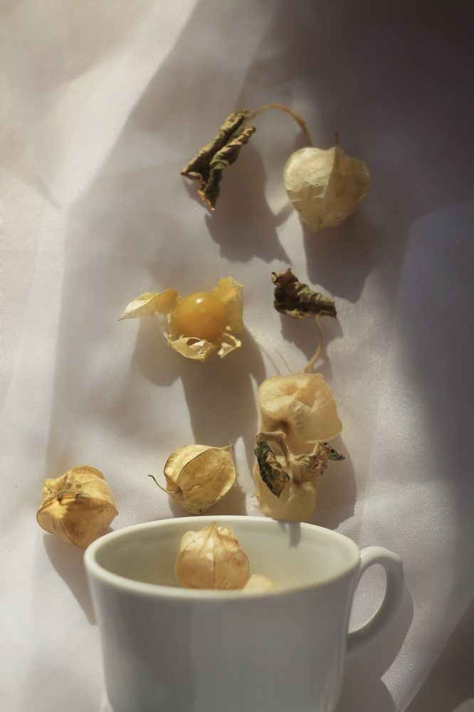 Photograph by Елена Змейкова