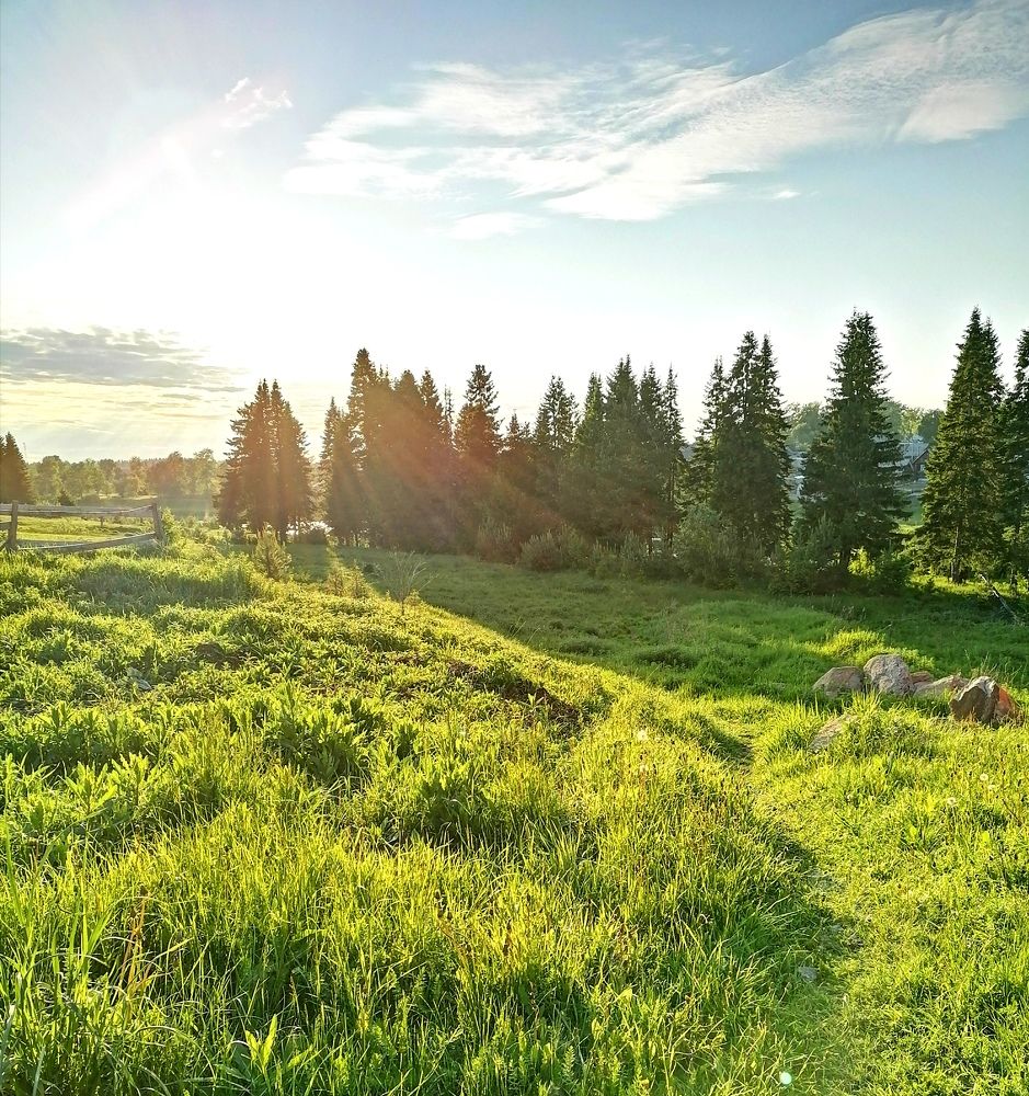 Photograph by Галина Карманова