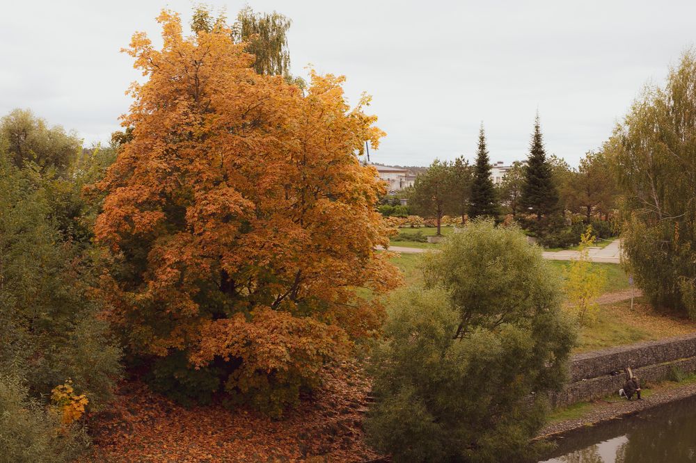 Photograph by Казаков Александр