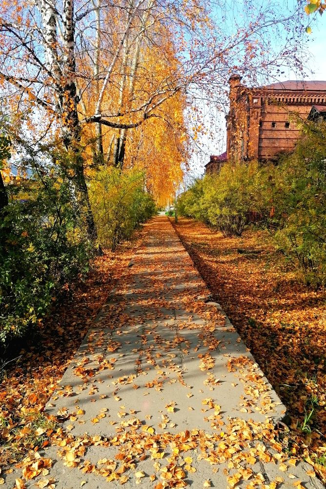 Photograph by Галина Карманова