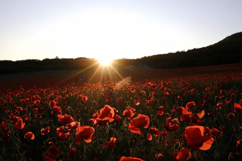 Photograph by Пузан Александр