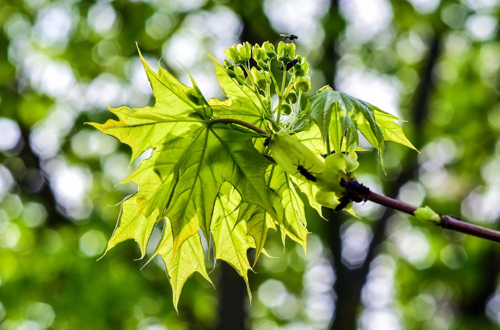 Photograph by Юлия Ковальчук