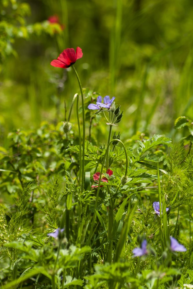 Photograph by Екатерина Бахтинова