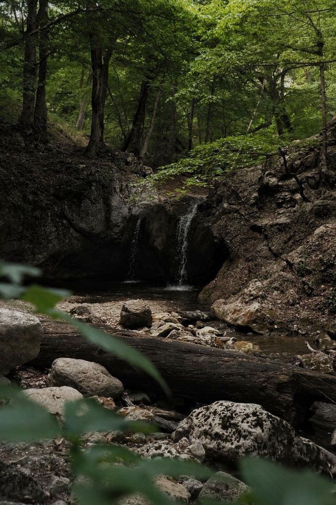 Photograph by Пузан Александр