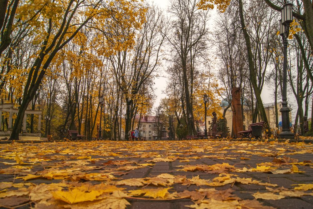 Photograph by Екатерина Бахтинова