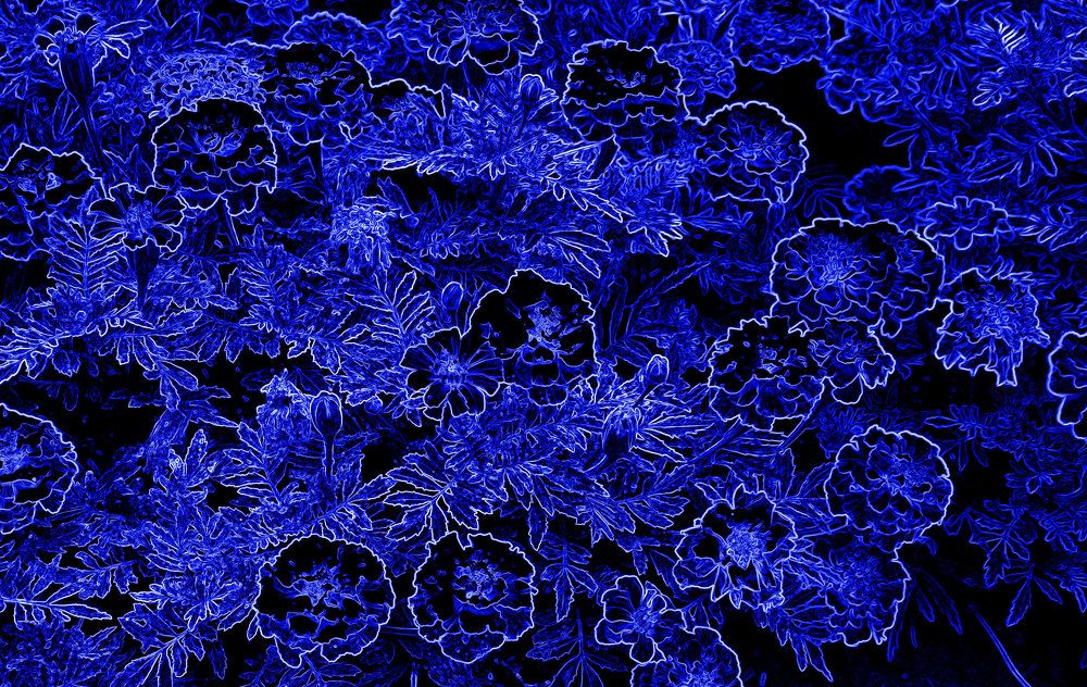 Photograph by Михаил Семёнов