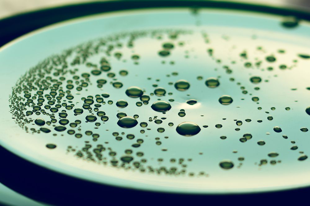 Photograph by Михаил Штенберг