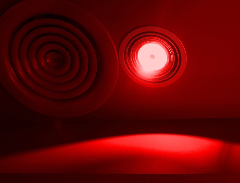 Photograph by Gurban