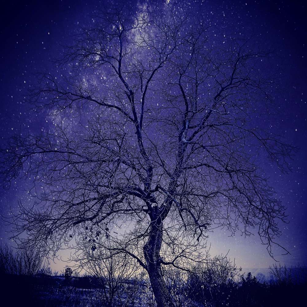 Photograph by Nikolett Mengyi