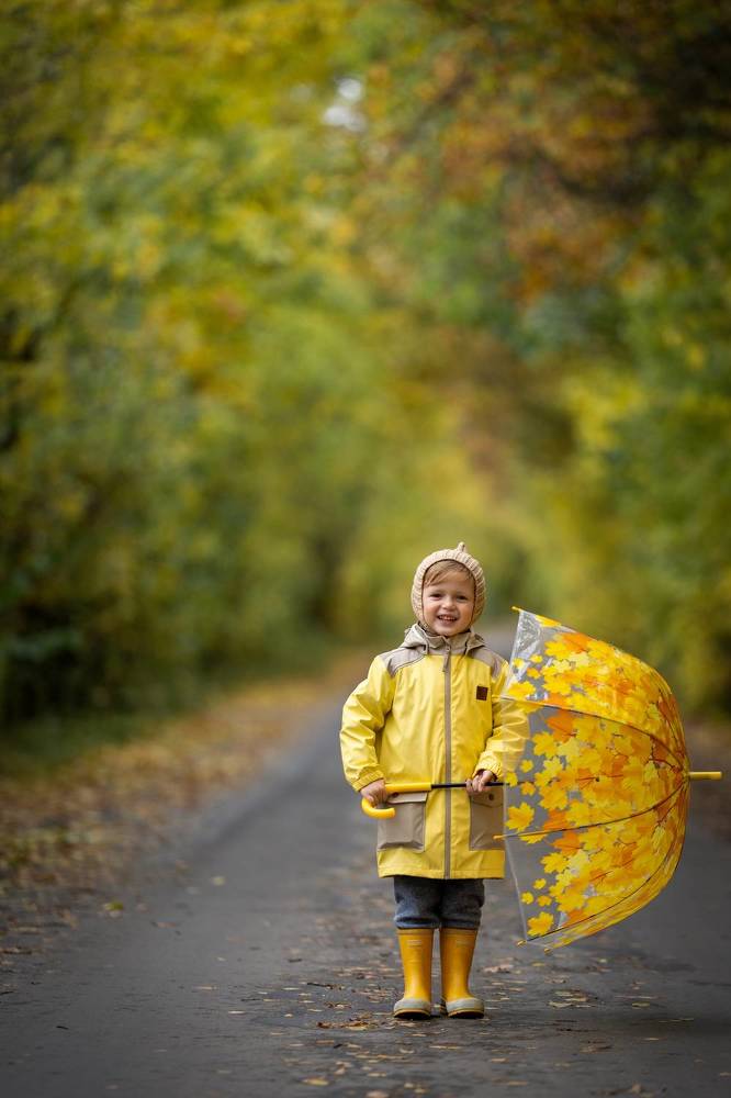 Золотая осень