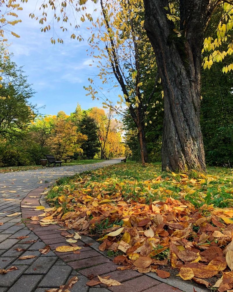 Photograph by Лариса Акинчиц