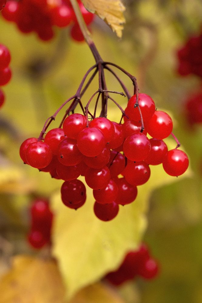 Photograph by Олег Тетерин