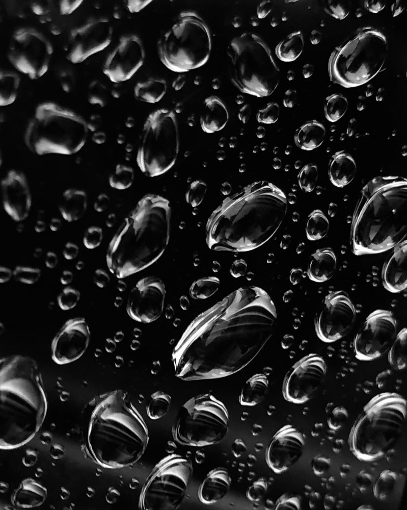 Photograph by Halina Mitsevich