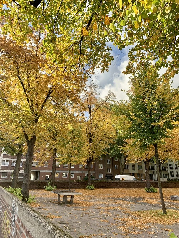 Photograph by Анастасия Мангольд