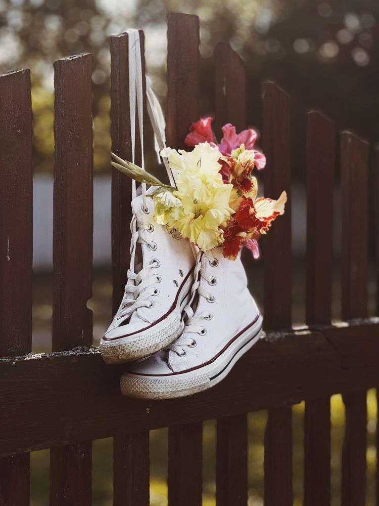 Photograph by Алена Жирова