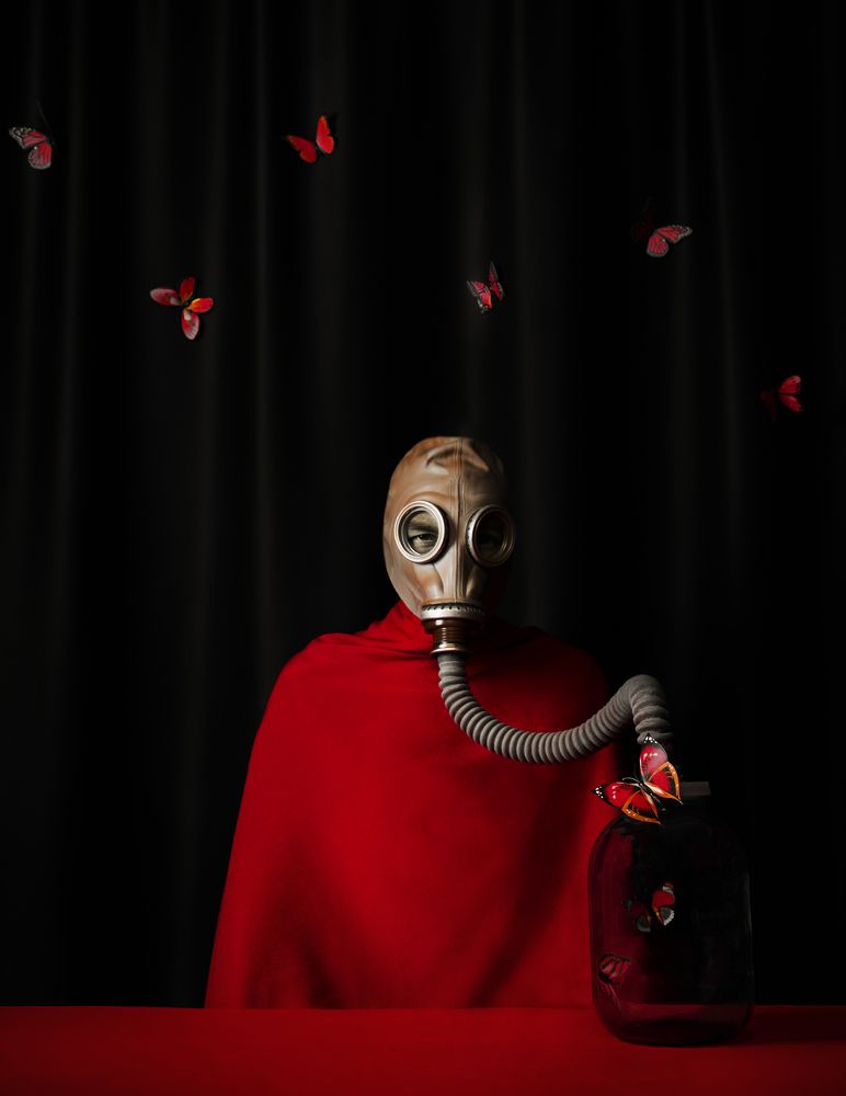 Photograph by Tatiana Fox