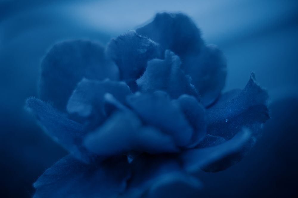 Photograph by Tatiana Fox