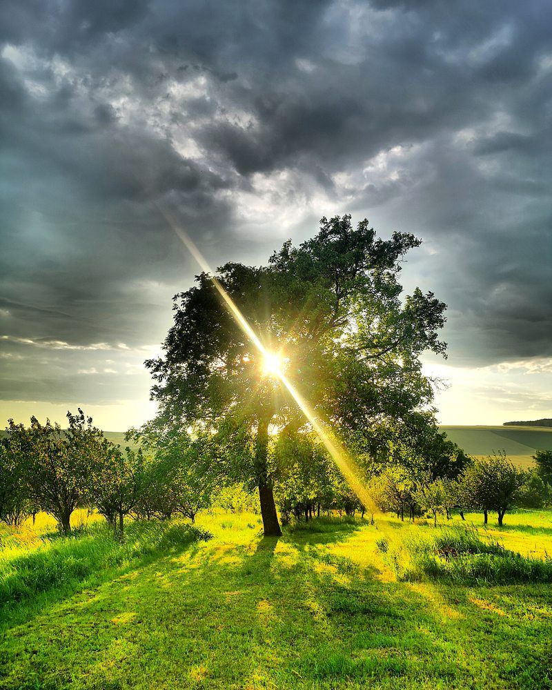 Photograph by Nikolett Mengyi