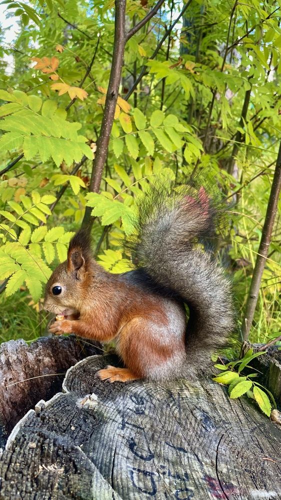 Photograph by Alina Andreevna