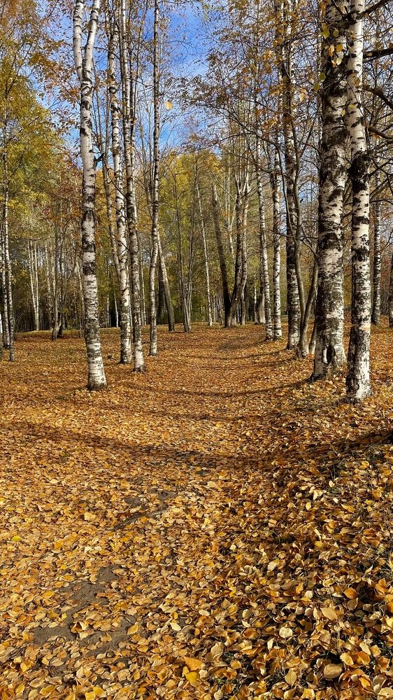 Photograph by Alina Andreevna