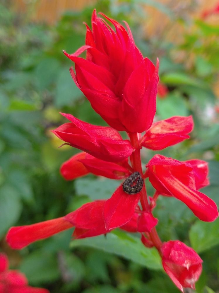 Photograph by Елена Коробченко