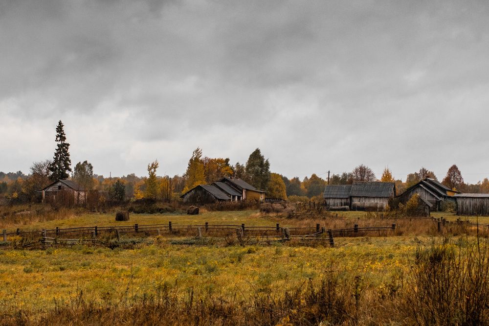 Фотография автора Мария Сурмачева