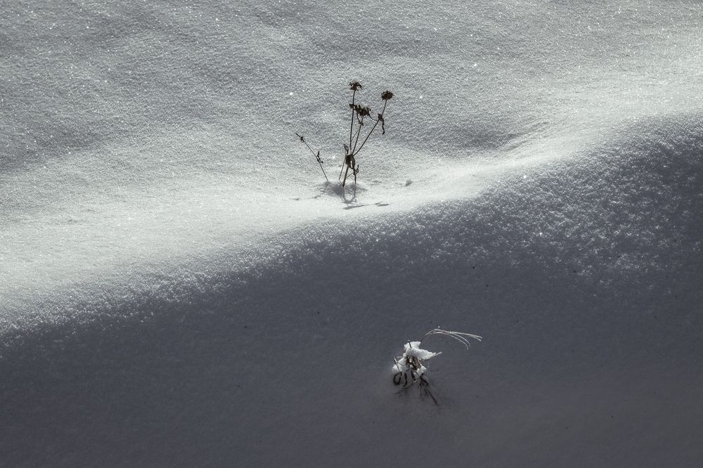 Photograph by Виктор Рыков