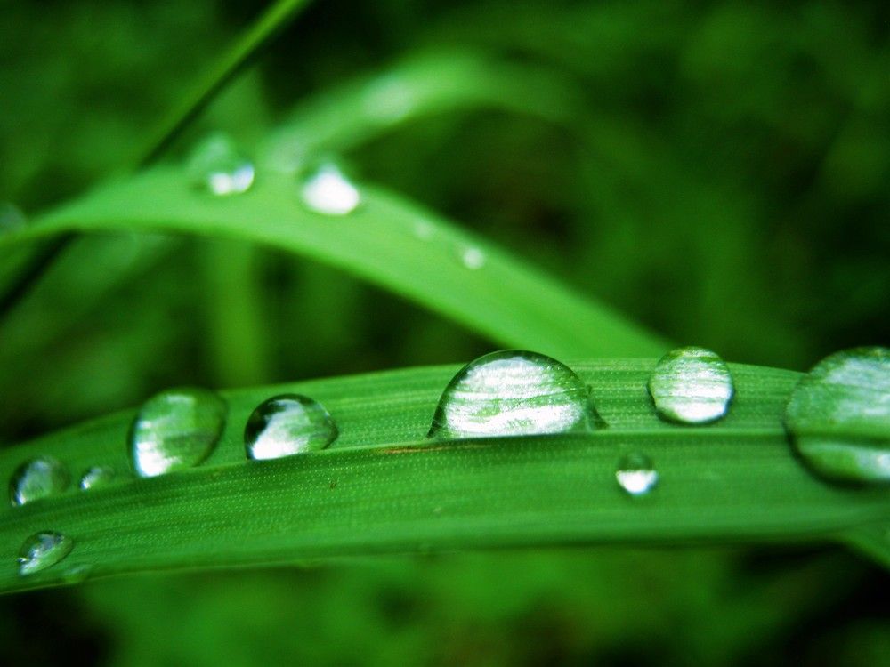 Photograph by Inna Oshe