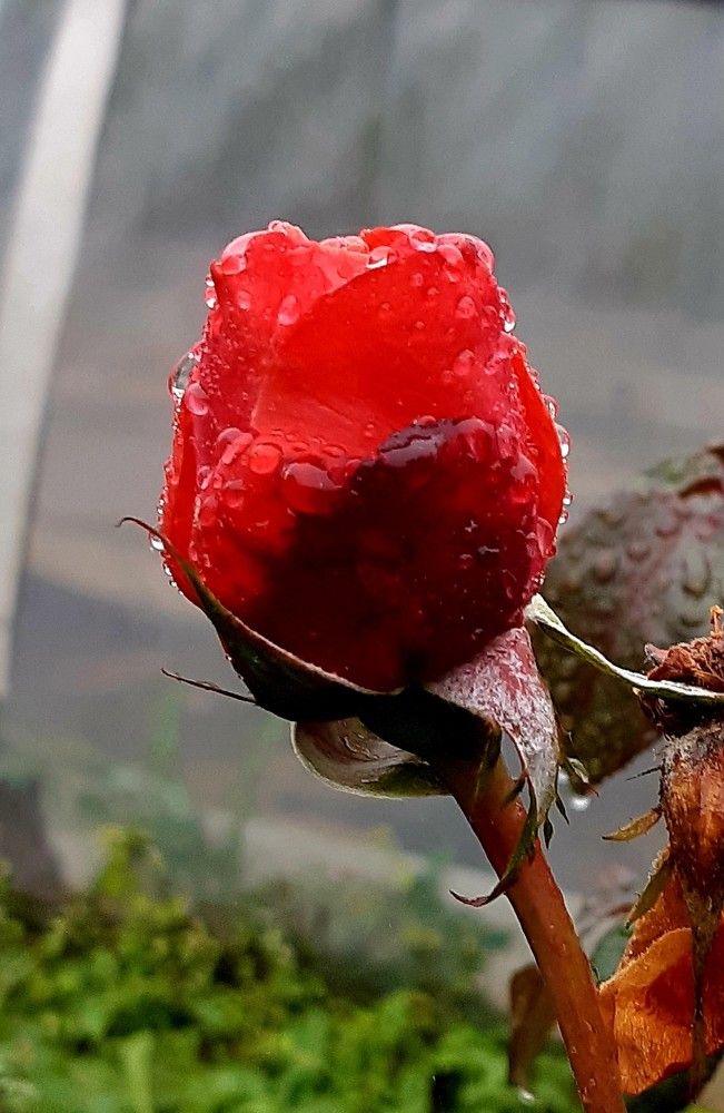 Фотография автора Ирина Лукьянчик