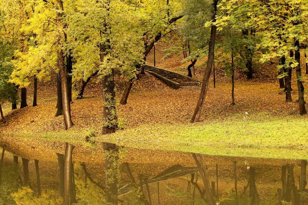 Photograph by Александр Заруцкий