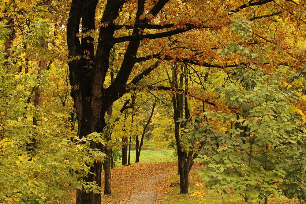 Photograph by Александр Заруцкий