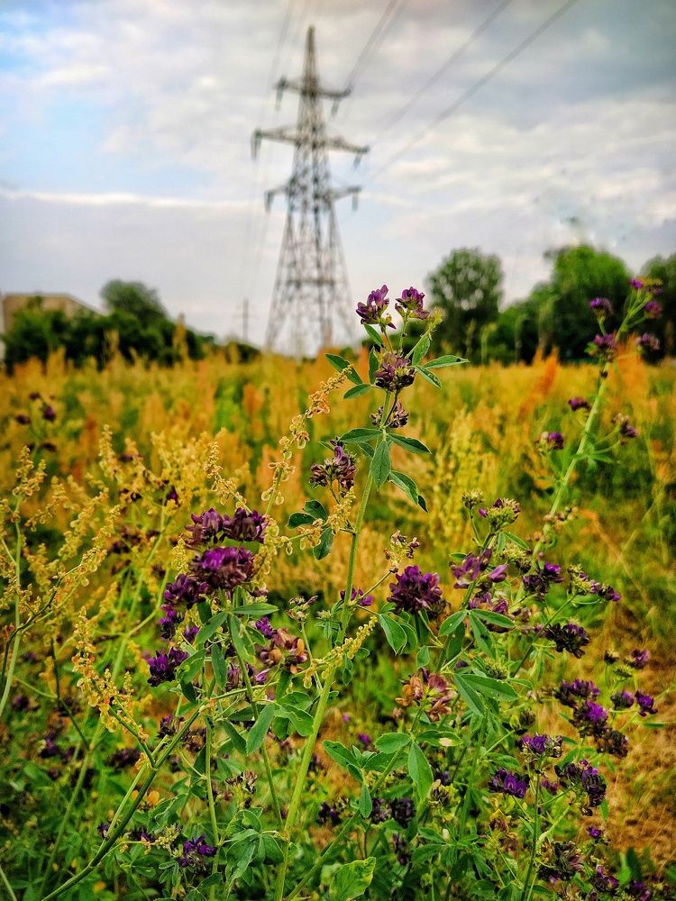 Фотография автора Гвоздецкая Анна
