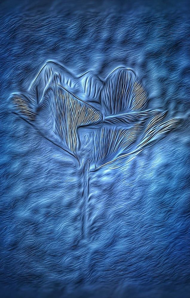 Photograph by Polina Svirida