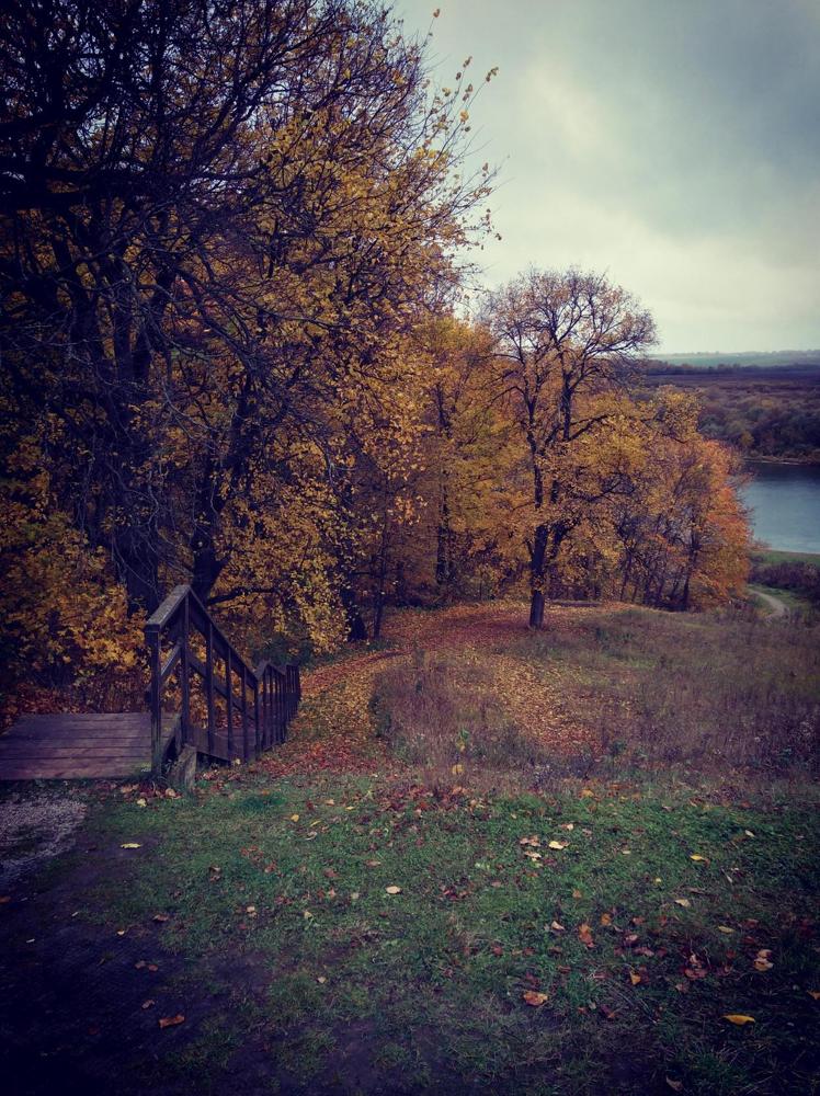 Photograph by Галина Черных