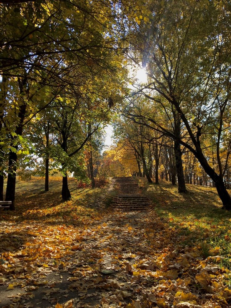 Золотая осень