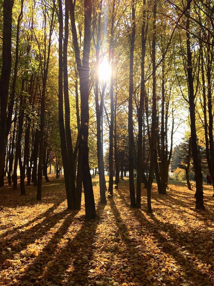 Photograph by Ольга Томашевич