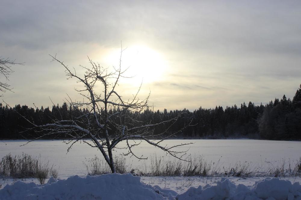 Photograph by Галина Черных