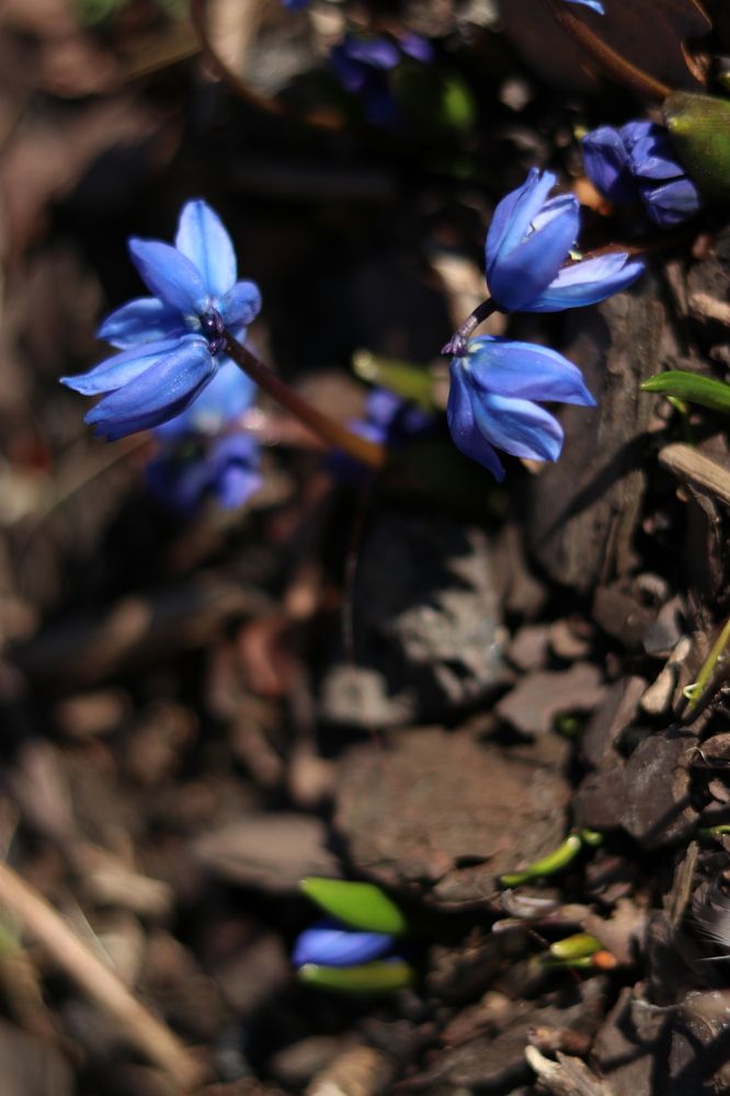 Photograph by Татьяна Стружкина
