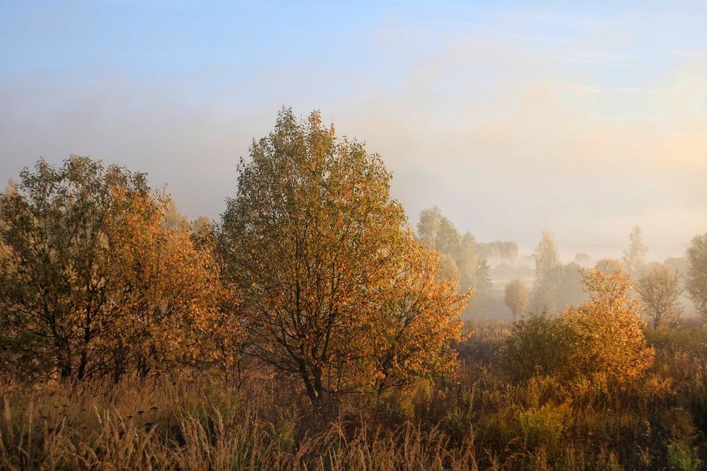 Photograph by Инна Карасева