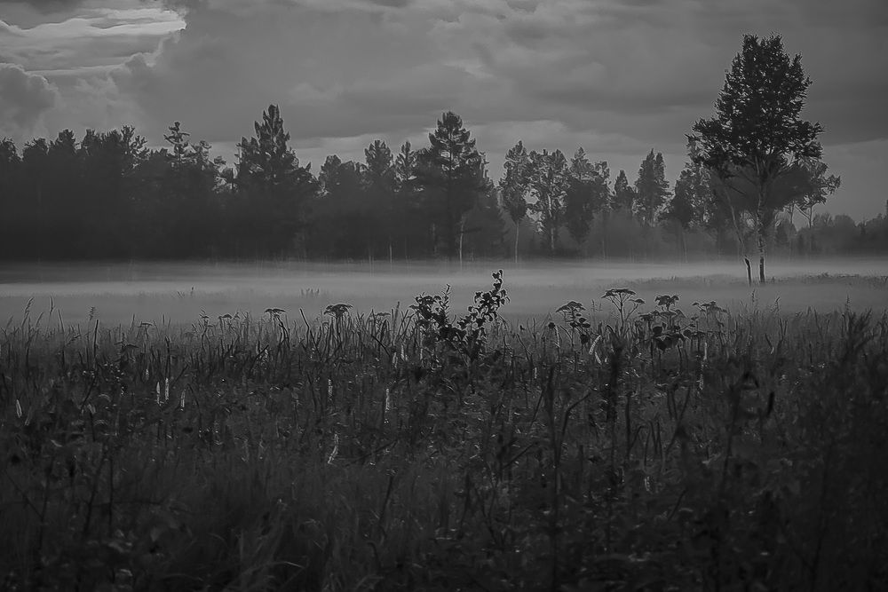 Таинственный туман