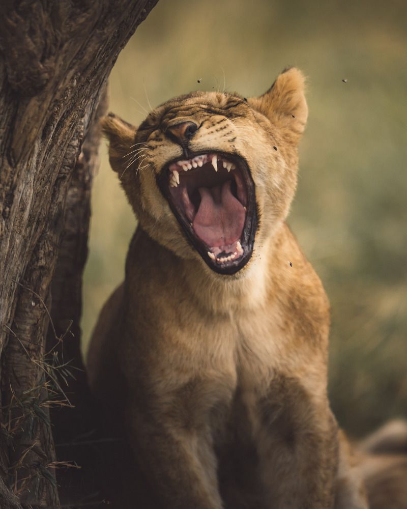 Photograph by Abhishek N